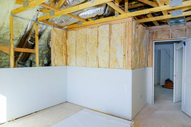 Best Insulation Maintenance and Repair in Long Lake, MN