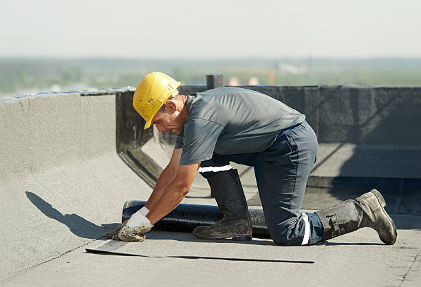 Best Insulation Installation Services in Long Lake, MN